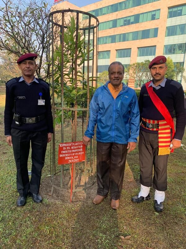 Rudraksha tree flourishing at AIIMS Rishikesh, December 2023